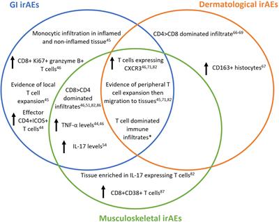 Immune-related adverse events in checkpoint blockade: Observations from human tissue and therapeutic considerations